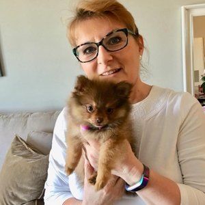 Meet your Posher, Elizabeth